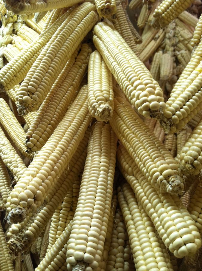 Braided Corn