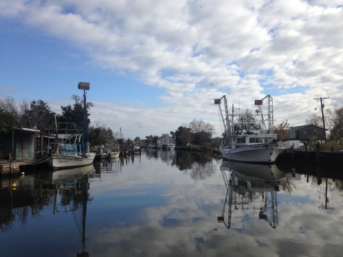 Fish and Shrimp Boats